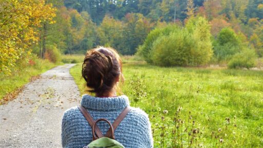Wandern im Erzgebirge Der perfekte Ausflug von Freiberg aus