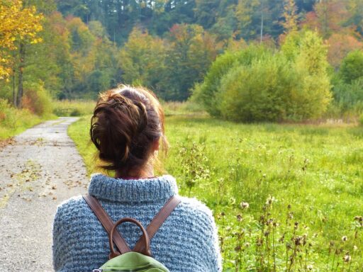 Wandern im Erzgebirge Der perfekte Ausflug von Freiberg aus